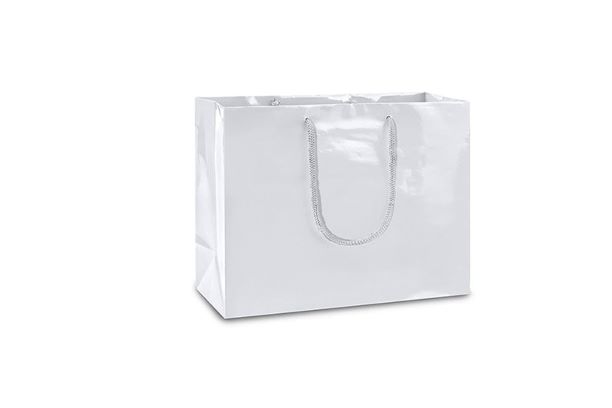 Sustainable Solutions: The Case for White Paper Bags in Bulk