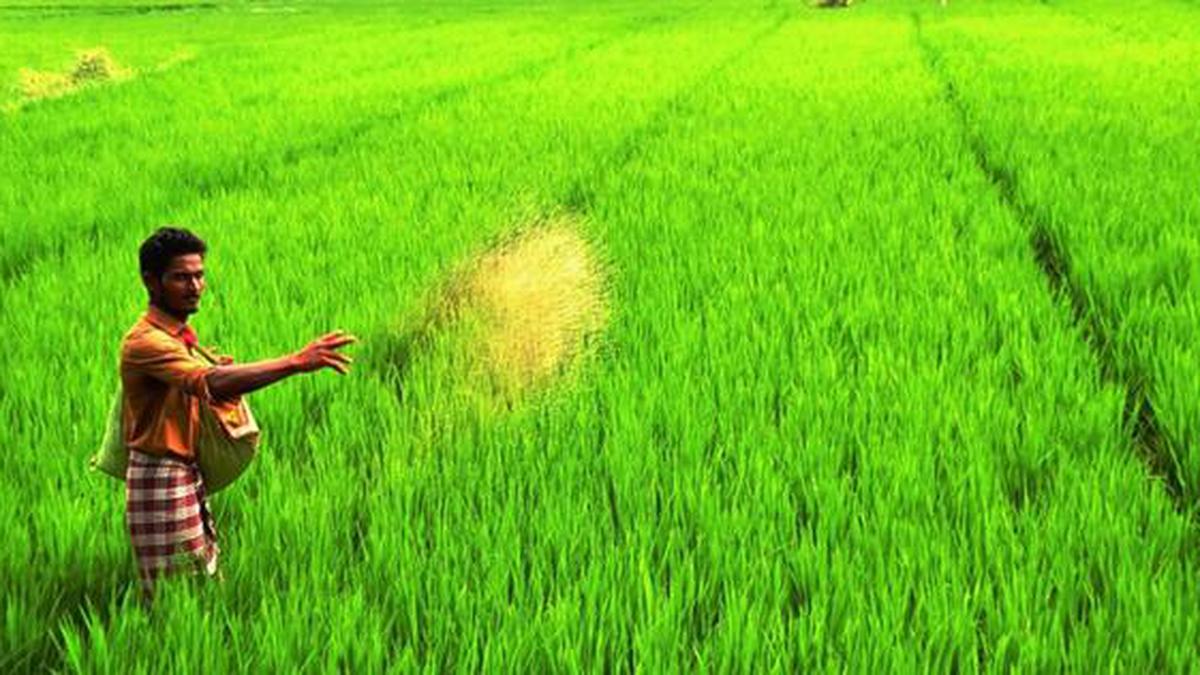 Cultivating Prosperity: How DeHaat Empowers Farmers from Seed to Sale