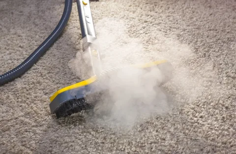 Carpet Cleaning Fort Collins