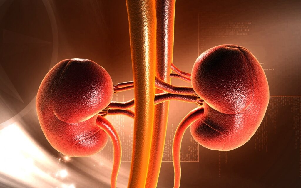 Renal Biomarkers Market