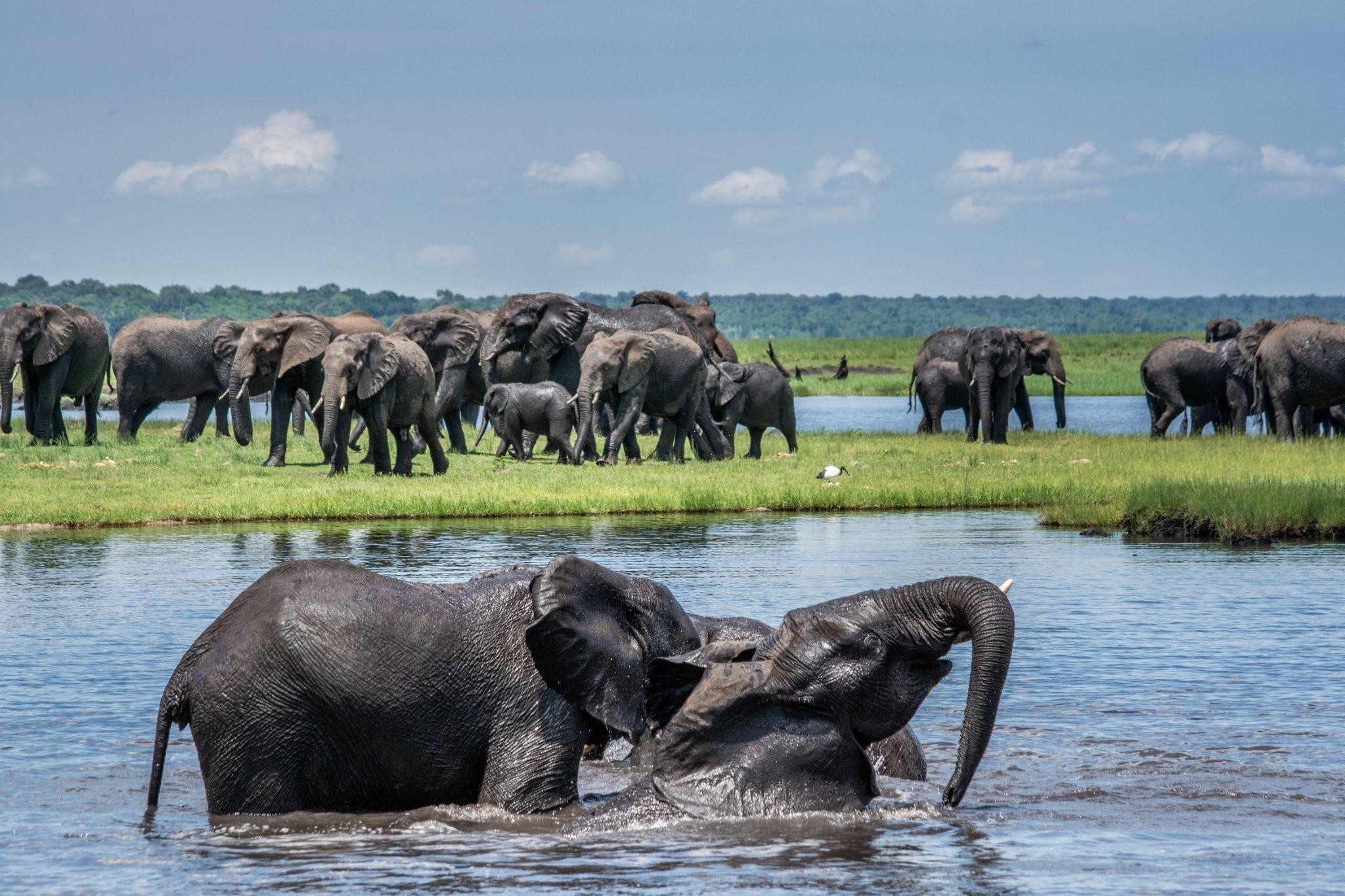 best safari in Africa