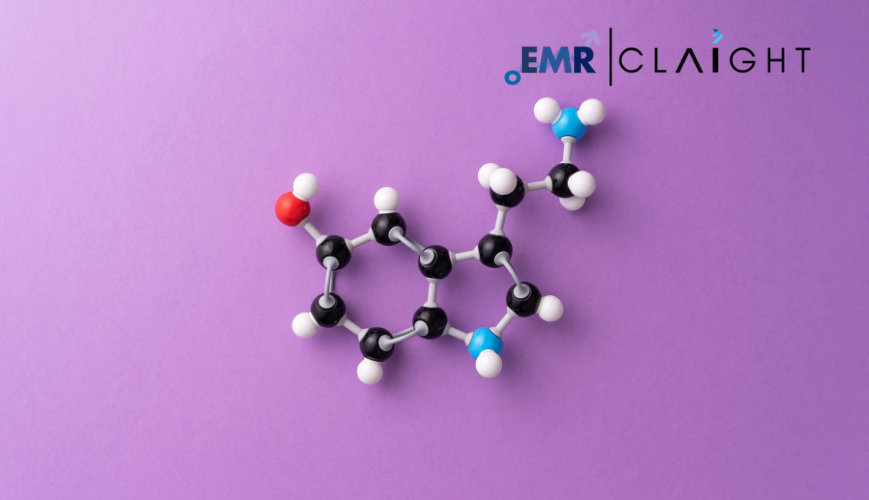 Polysorbate Market