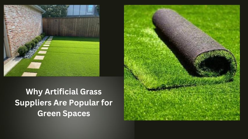 Why Artificial Grass Suppliers Are Popular for Green Spaces
