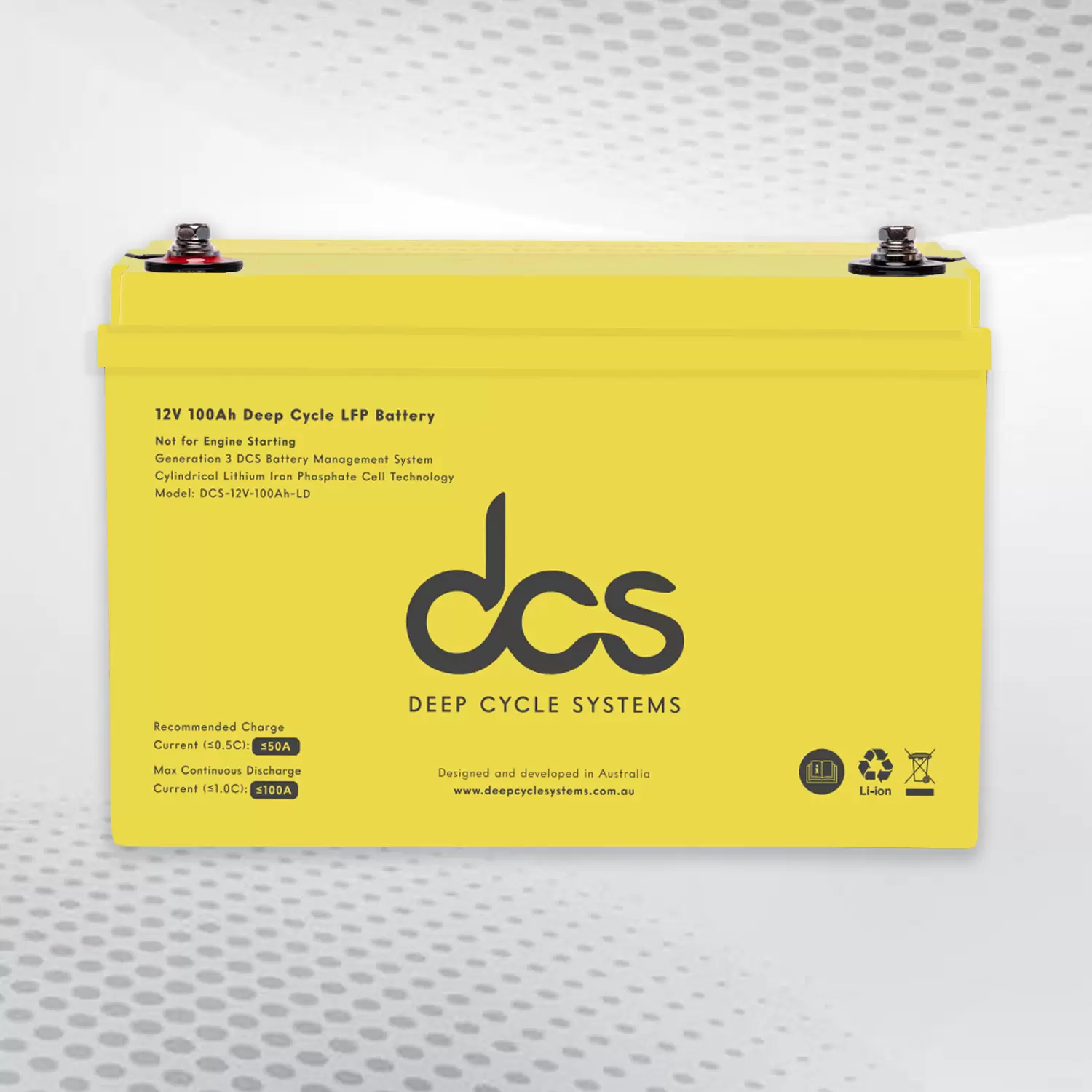 100 Amp Deep Cycle Battery