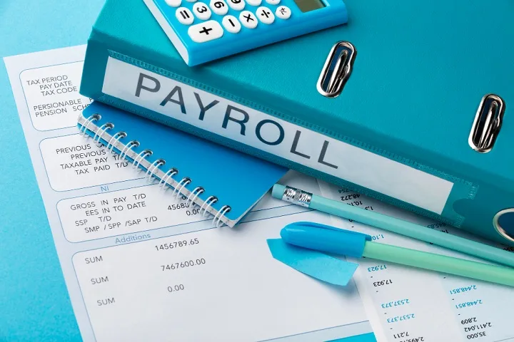 Payroll Audit