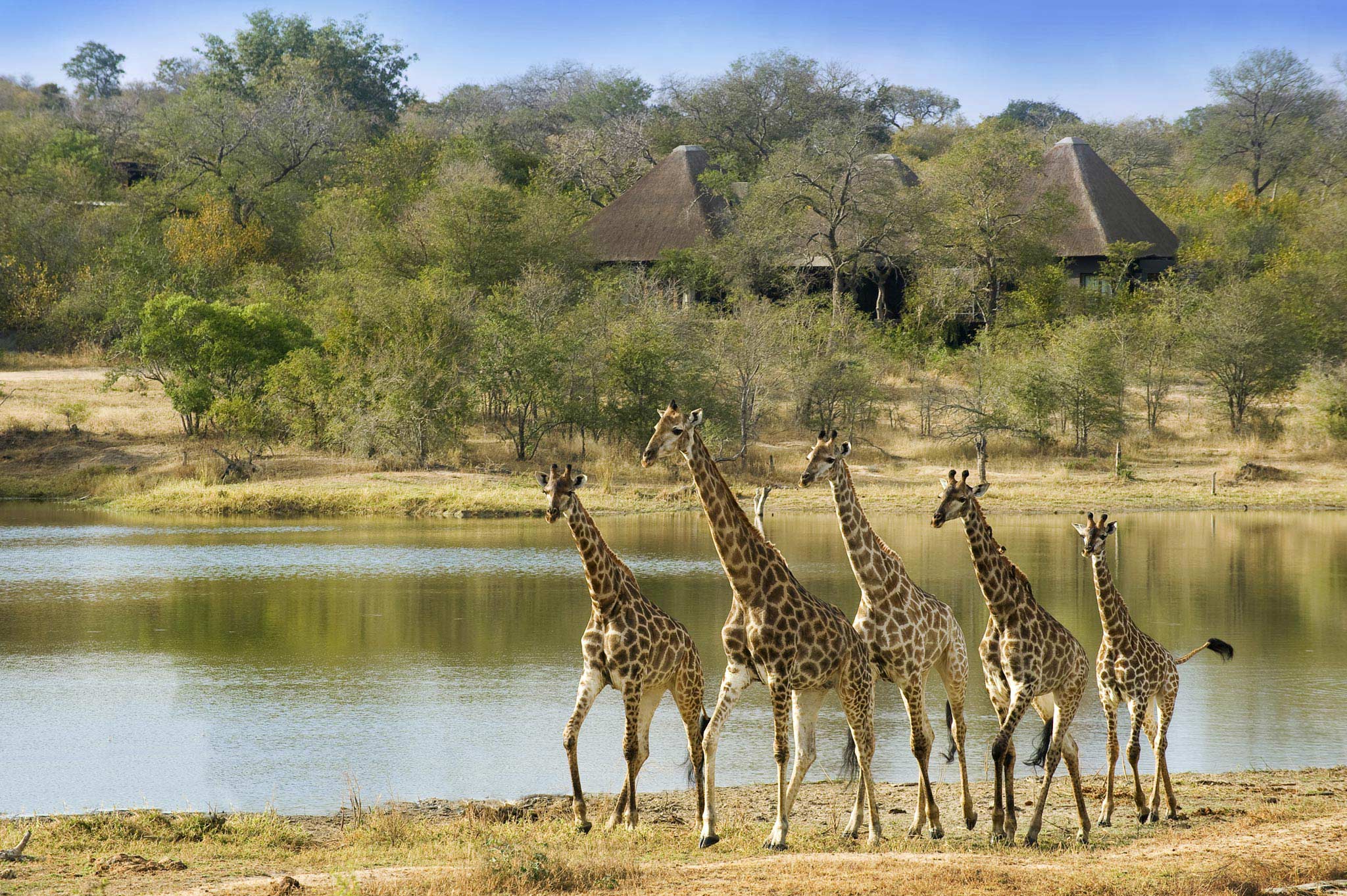 Kruger national park accommodation