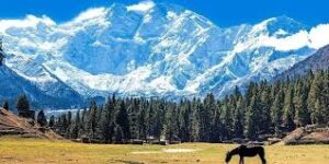 fairy meadows pakistan tour