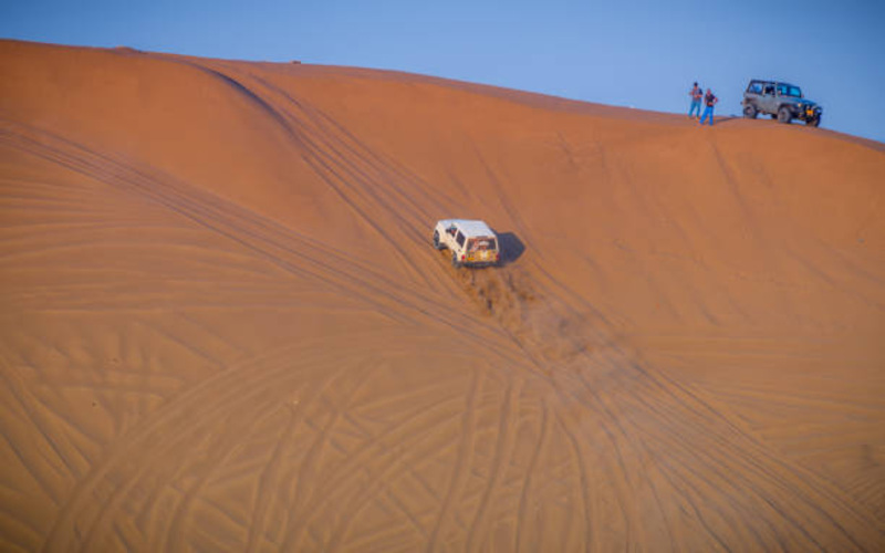 Desert Safari Experience