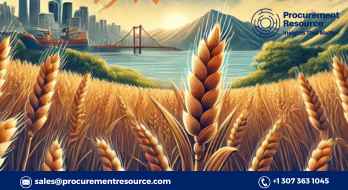 wheat production cost