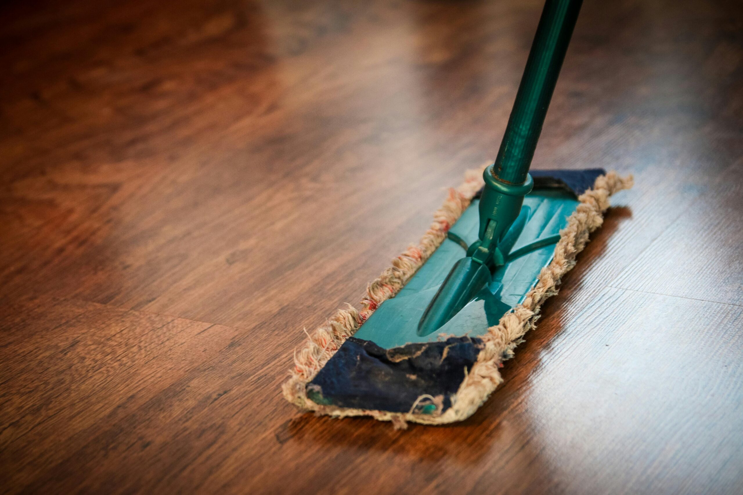 drain cleaning services in Honolulu, HI