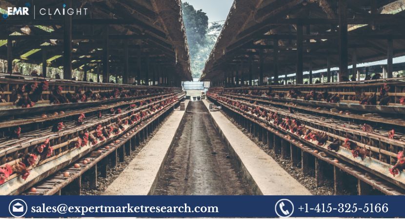 Poultry Market