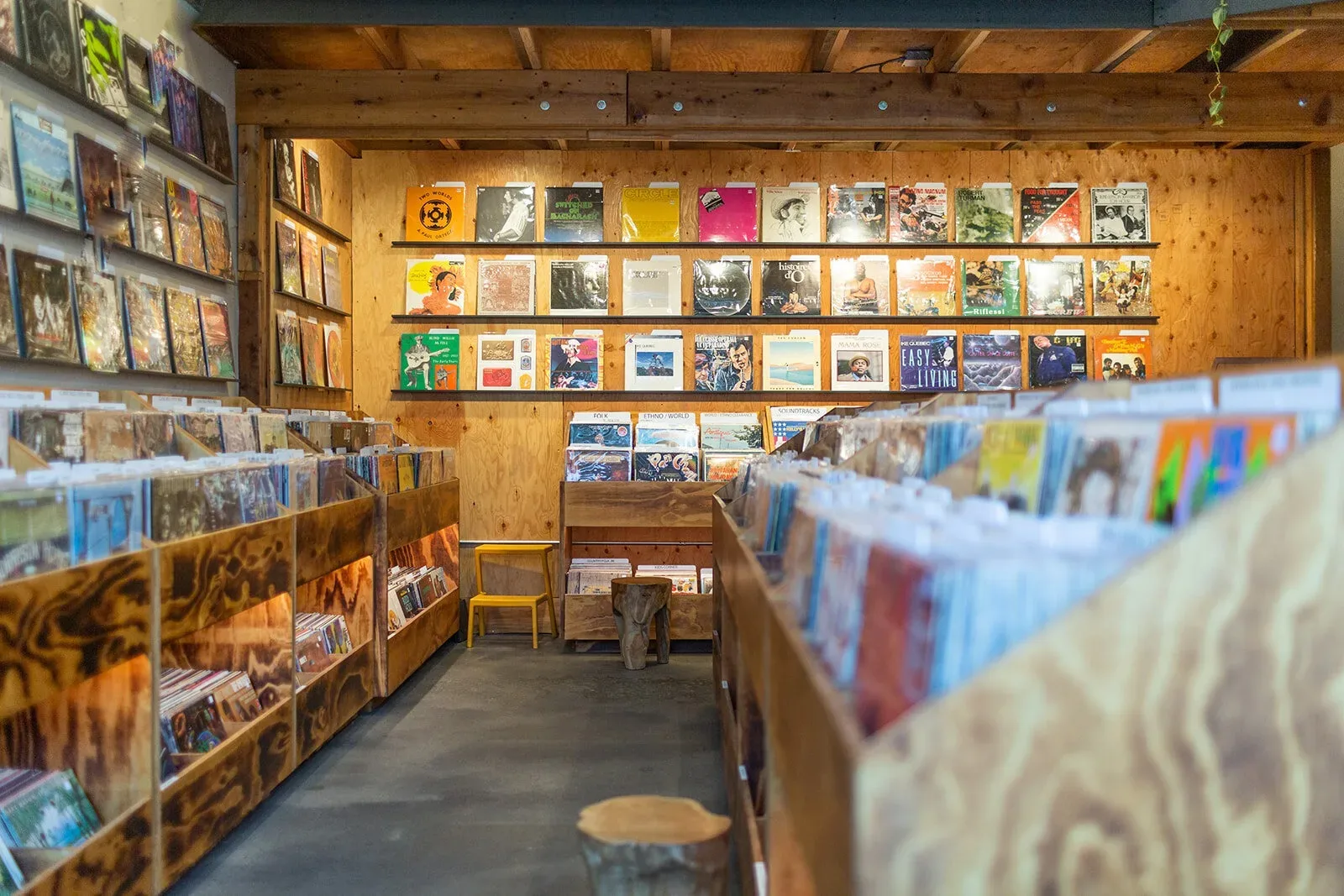 vinyl shop Denver