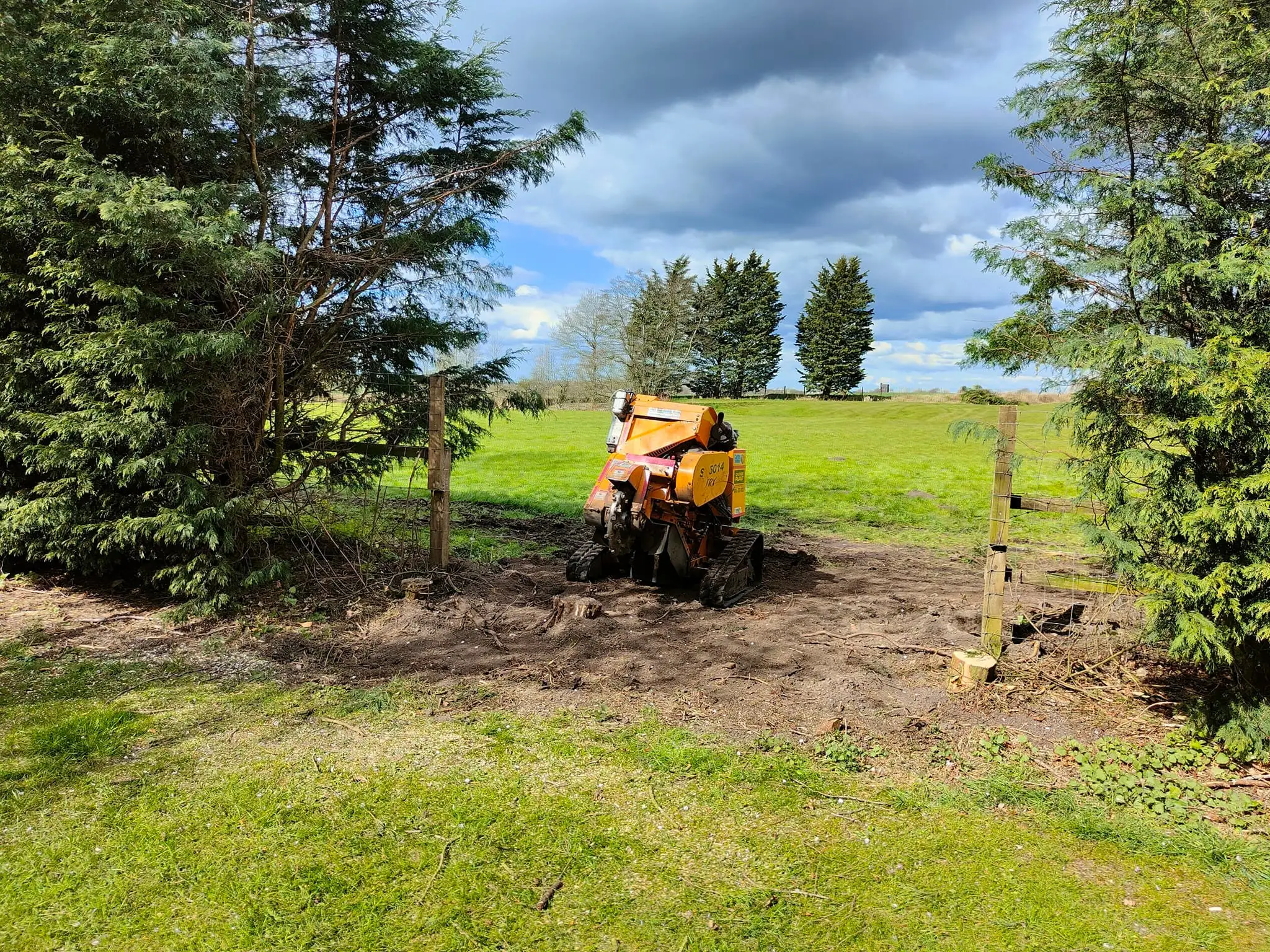 Tree Surgeon Lake District