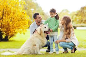 Buying a Dog Online