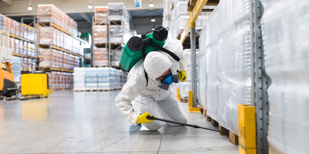 Why Should You Choose an Eco-Friendly Pest Control Company?