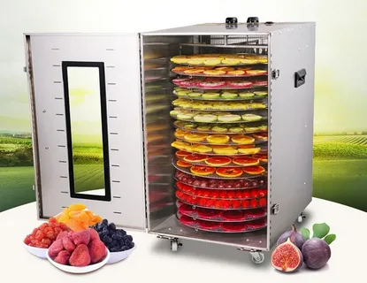 Dehydrator machine