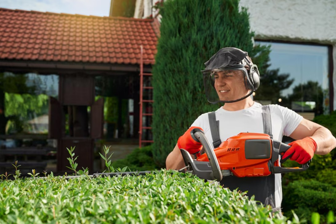 Advantages Of Hiring Lawn Maintenance Company