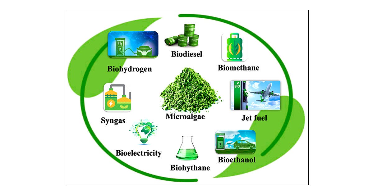 Algae Biofuel Market