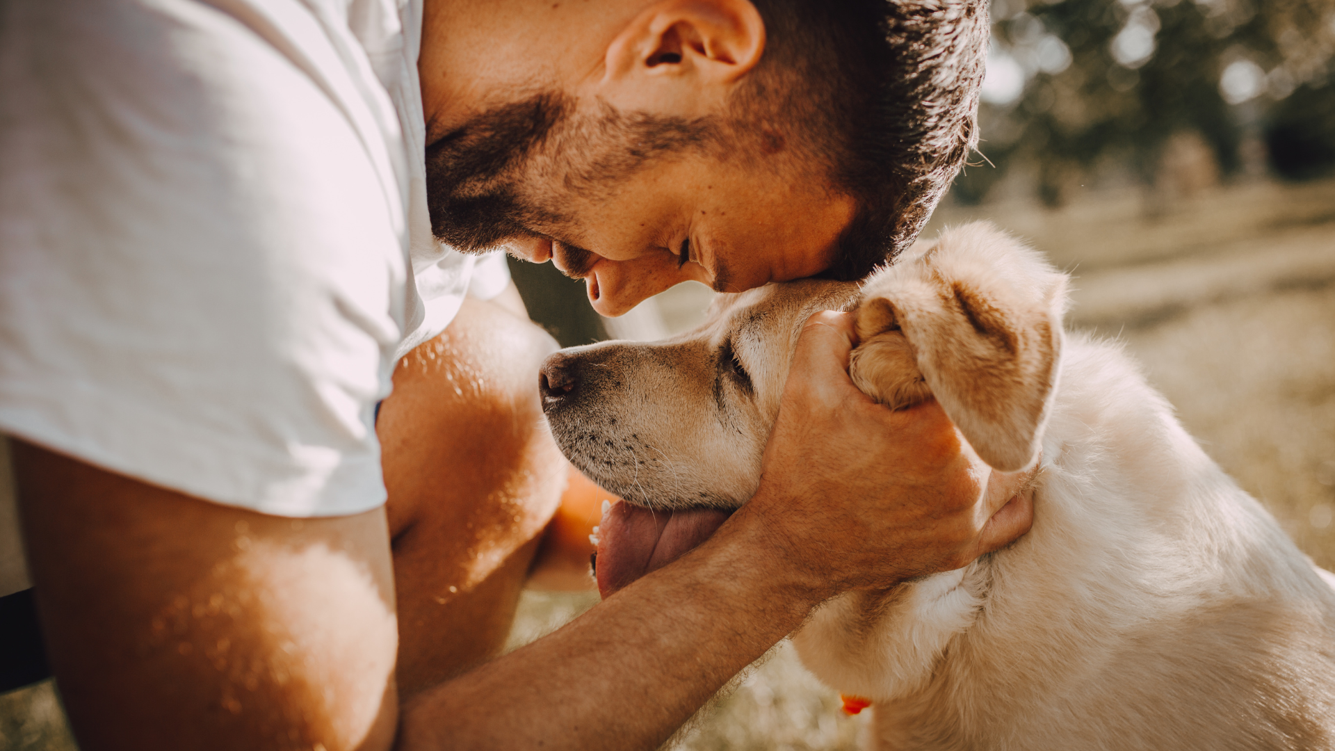 pet euthanasia at home