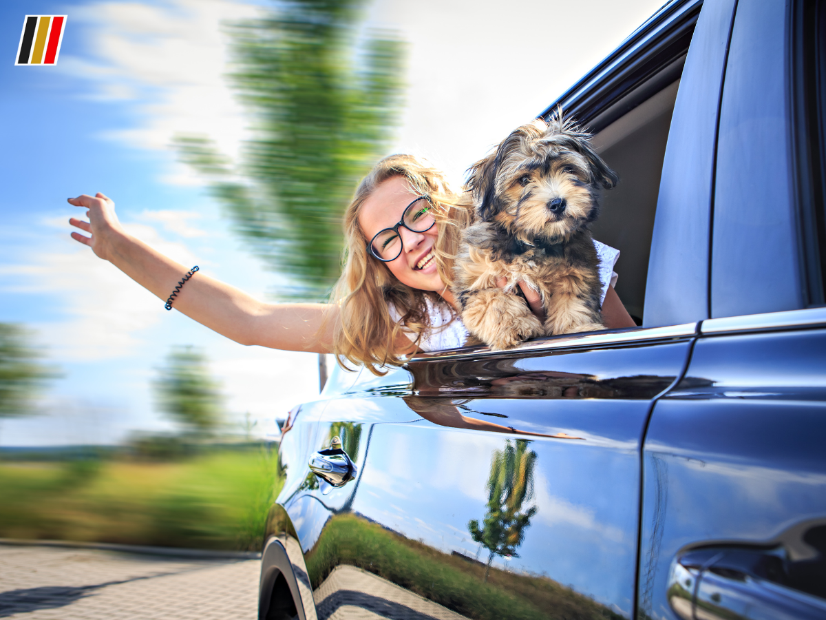 how to choose the best dog friendly cars in london
