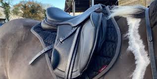 Western Riding Headstalls