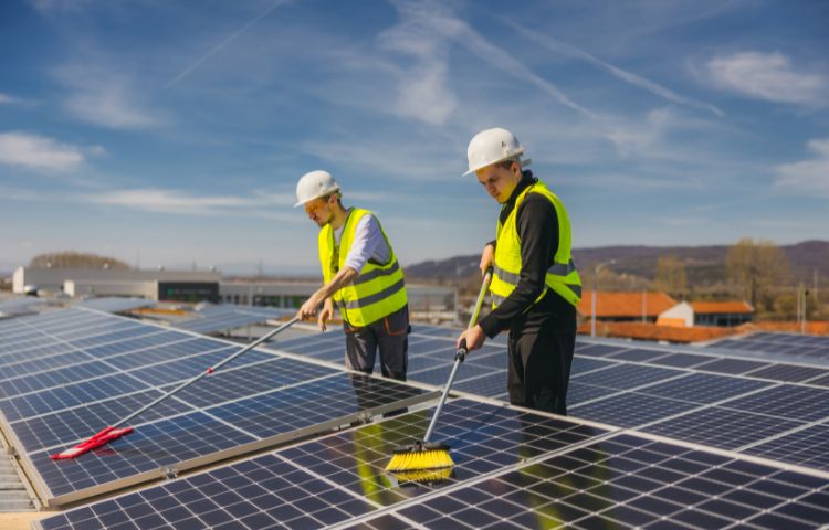 Solar Panel Cleaning Market