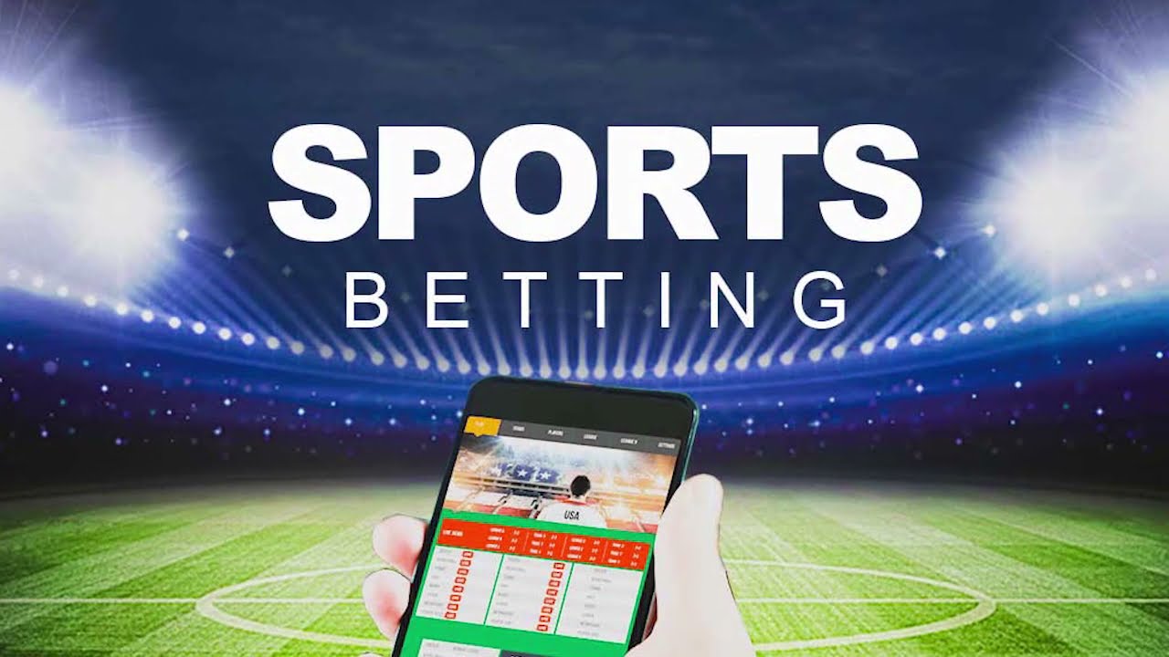 Sports Betting Needs