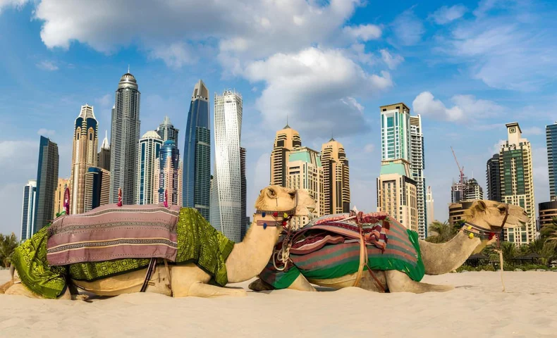 Dubai tours