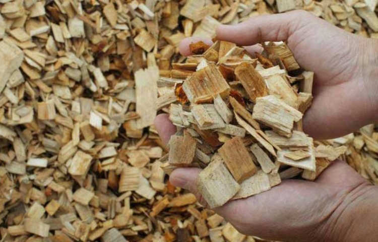 Wood Pulp Market