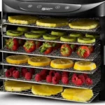 best dehydrator