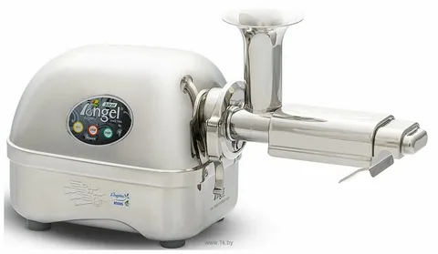 super angel 5500 juicer