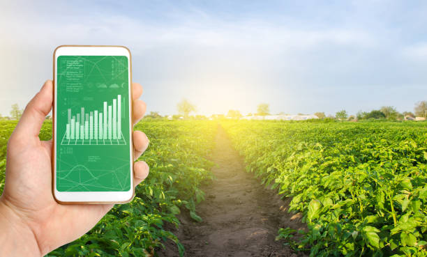 Crop outlook