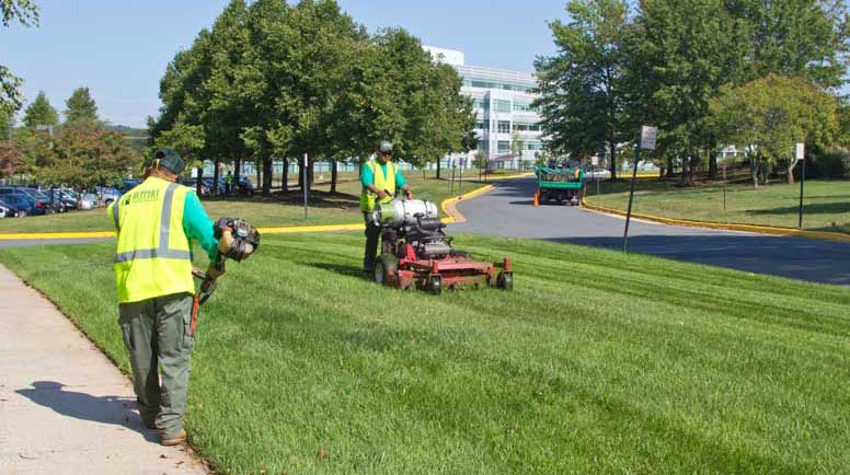 landscaping contractors