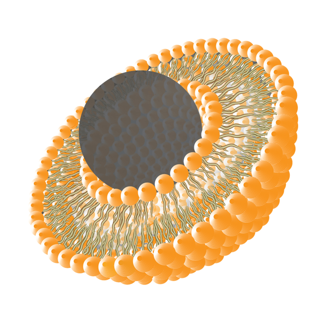 Liposomal Milk Thistle Manufacturers