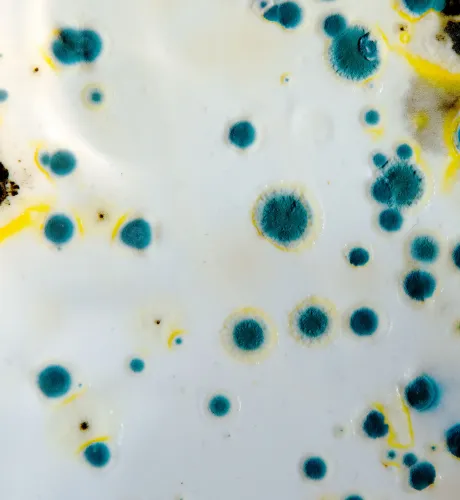 Mold Testing Redondo Beach