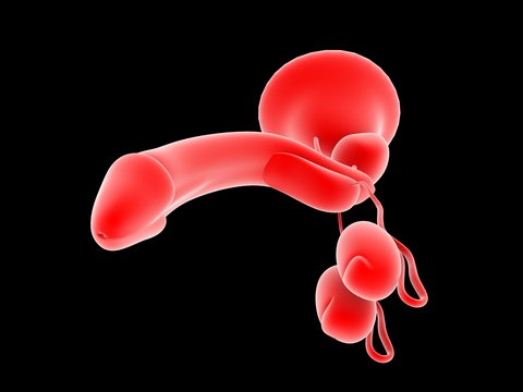 penile enlargement in islamabad pakistan