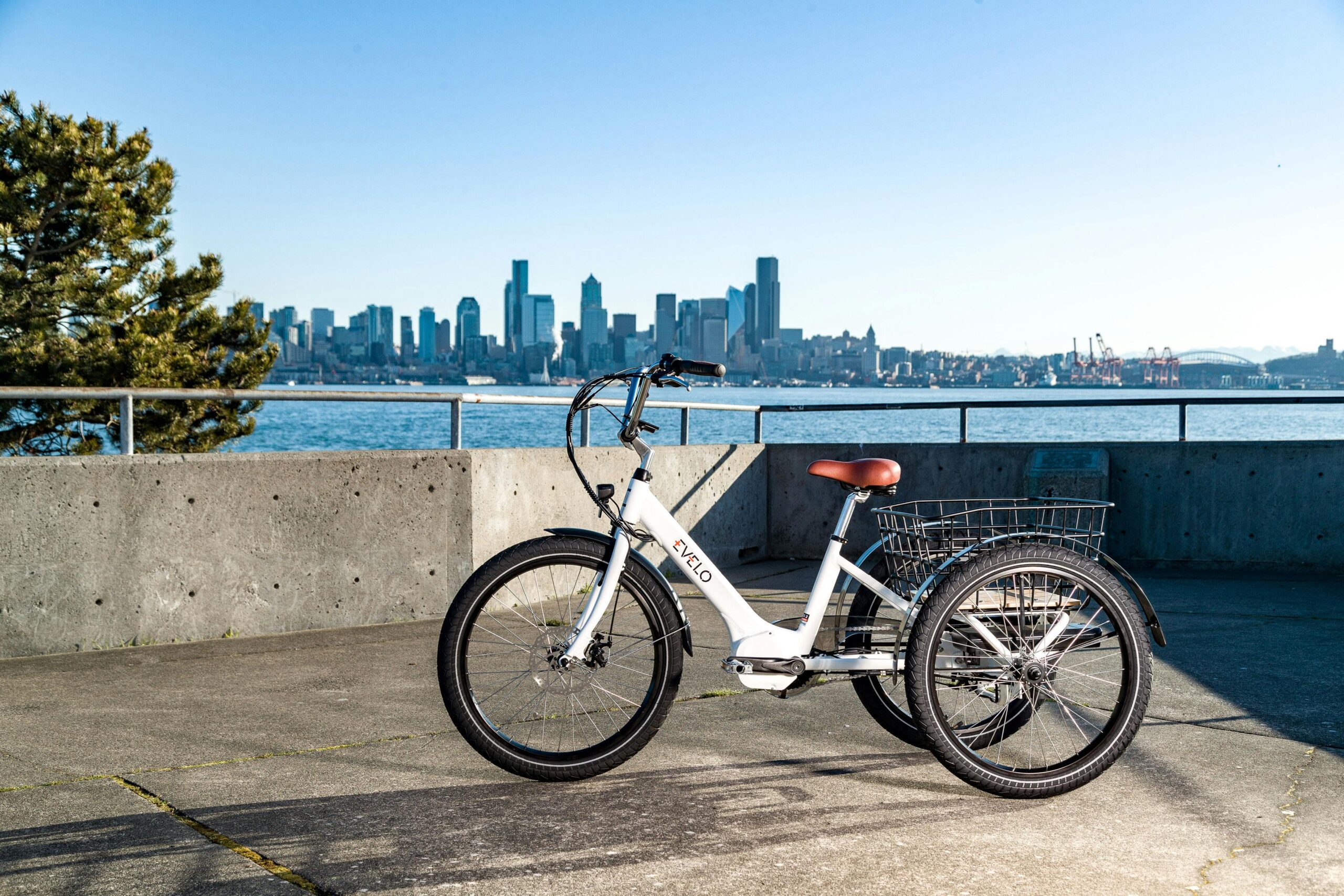 Electric bikes