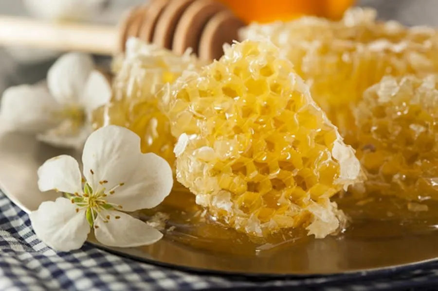 Close-up of fresh golden honeycomb with white blossoms on a plate, highlighting natural sweetness and purity.