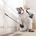 The Ultimate Guide to Mold Remediation and Removal
