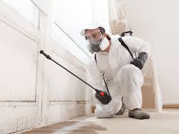 Mold remediation and removal