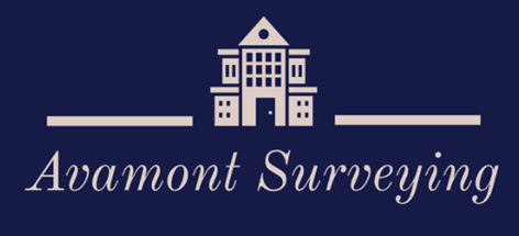 surveyors