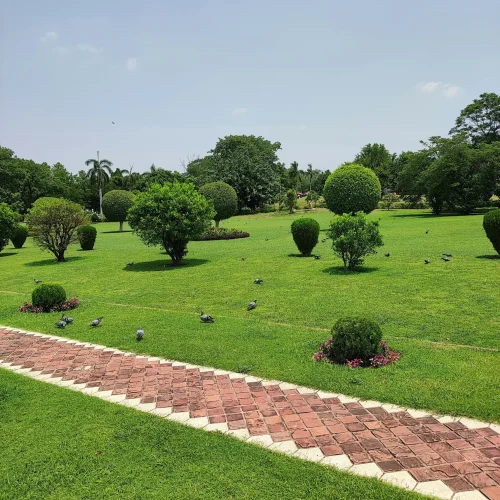Garden Design Services