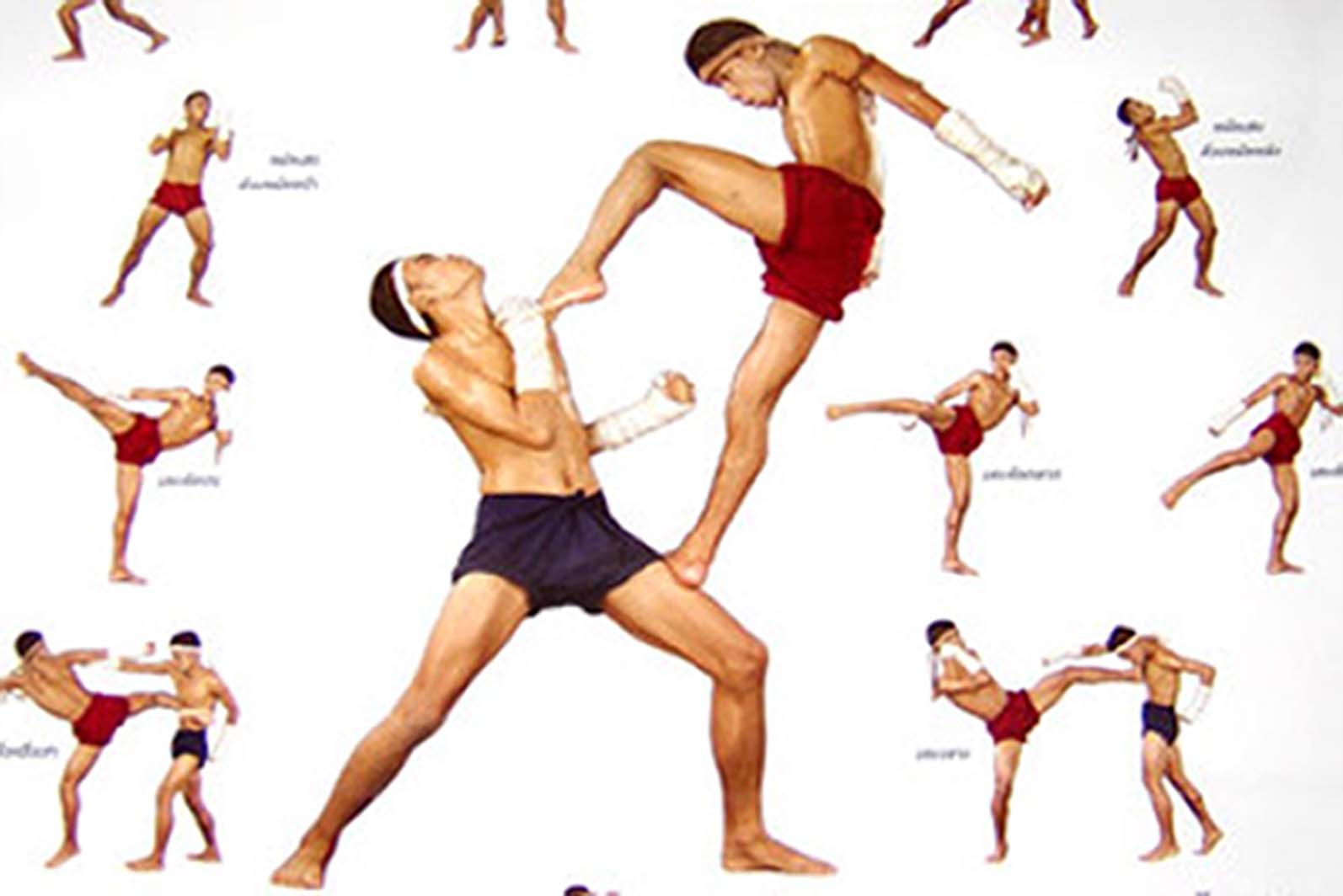 Muay Thai and Martial Arts