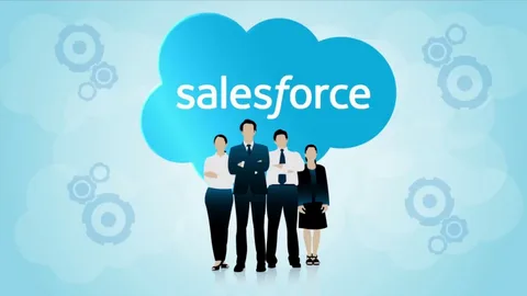 Professional Salesforce Solutions and Implementation Services