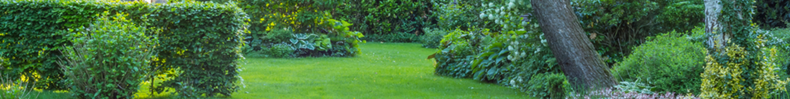 Lawn Mowing Little Bay