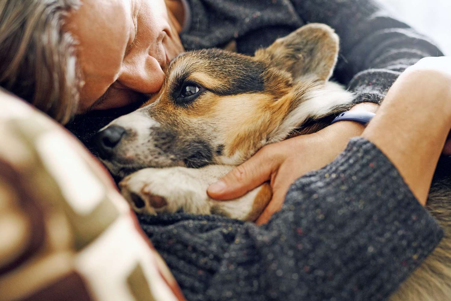 in home euthanasia