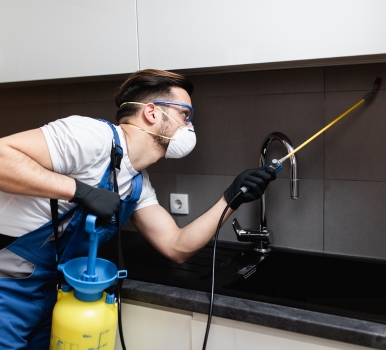 pest control melbourne
