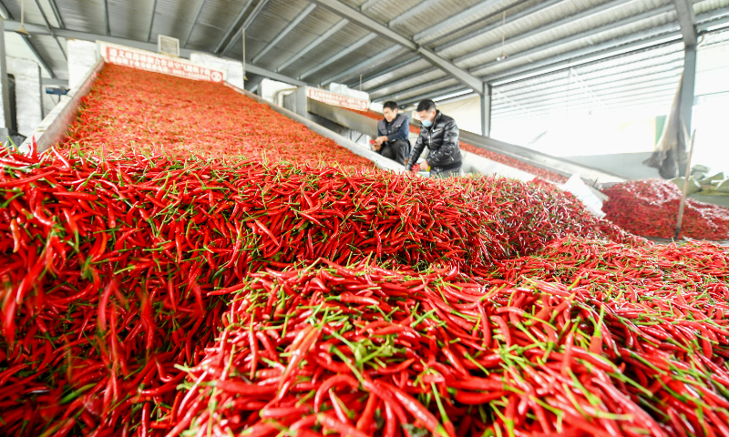 Chili Pepper Processing Plant