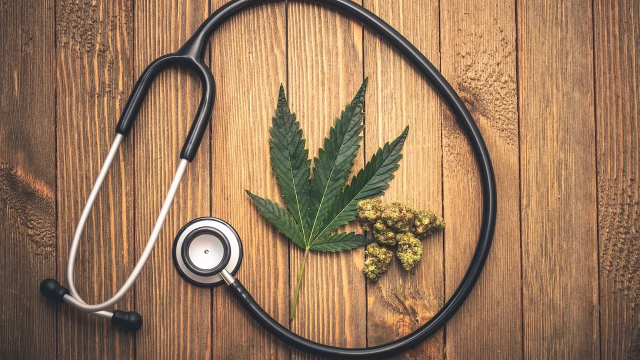 Marijuana Doctor