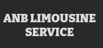 Luxury Airport Limousine services​